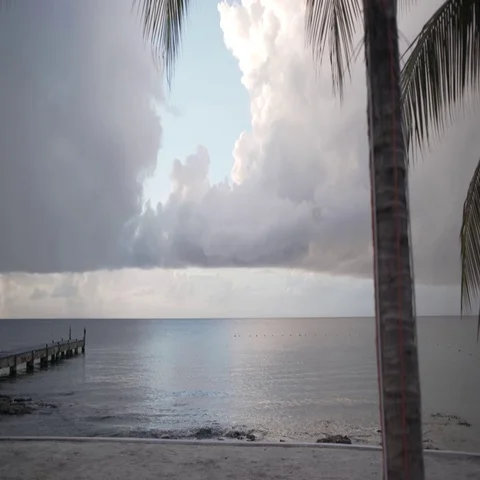 Tropical Dock at Dusk Stock Footage 69660867