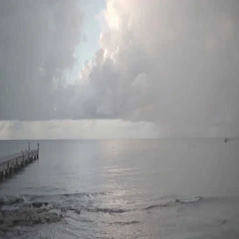 Tropical Dock at Dusk Stock Footage 69667351