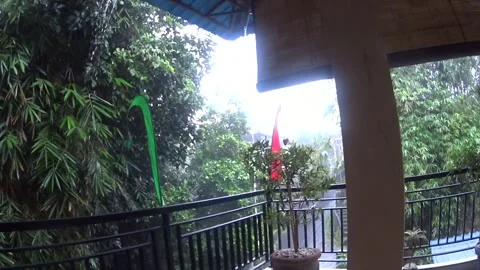 Tropical downpour, Rain in Ubud Video stock 220183866