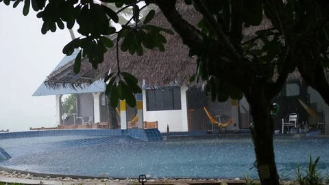 A tropical downpour with the wind at day Vidéo 74542439