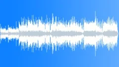 Tropical Dream Stock Music