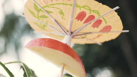 Tropical Drink Garnish 動画素材 95737151
