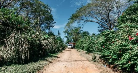 Tropical Driveway with Truck Stock Photos