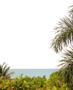 Tropical editorial frame Stock-Fotos