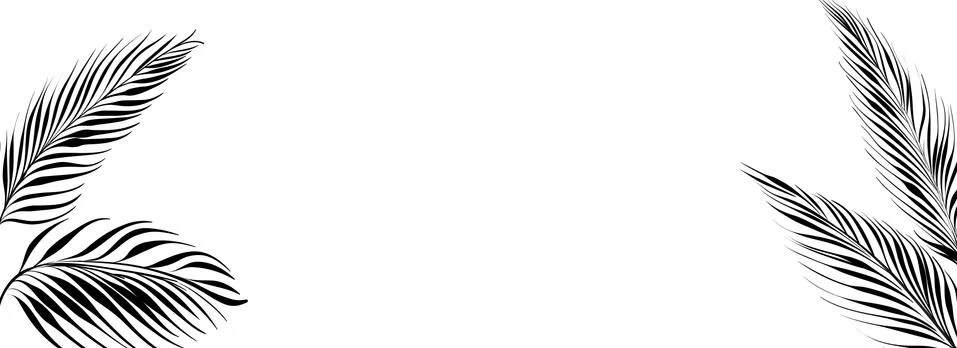 Tropical elements design template. Panoramic simple design with frame leaf Stock Illustration