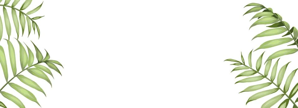 Tropical elements design template. Panoramic simple design with frame leaf Stock Illustration