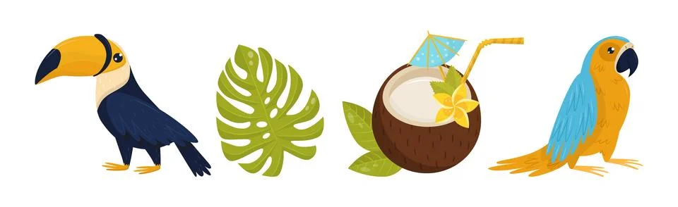 Tropical Elements with Monstera Leaf, Coconut Cocktail, Parrot and Toucan Vector 스톡 일러스트