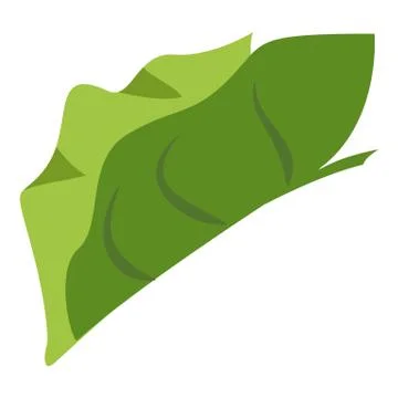 Tropical elephant ear leaf icon, cartoon style Stock Illustration