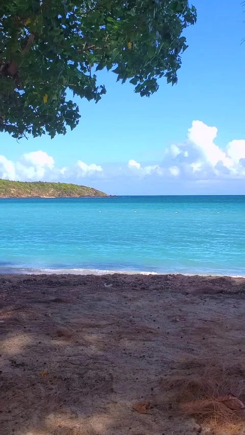 Tropical empty beach on a windy day, vertical shot Video stock 219219201
