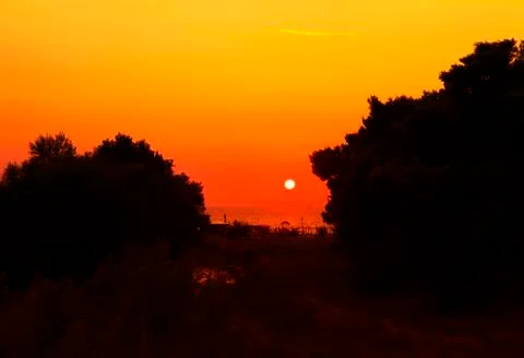 Tropical evening Stock Photos