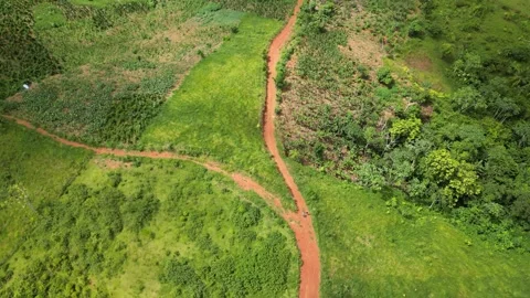 Tropical excursion trail walk 01 库存影片 330589471