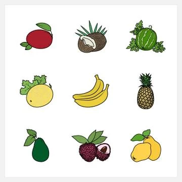 Tropical Exotic Fruit Illustrazione stock