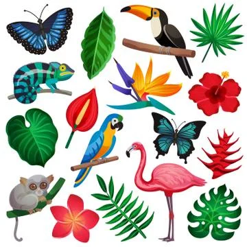 Tropical Exotic Icon Set Illustrazione stock