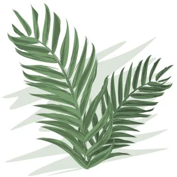Tropical exotic leaf of monstera tree with watercolor style. Flat color style Stock Illustration