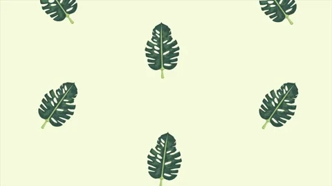 Tropical exotics leafs ecology animation pattern background Video stock 138978208