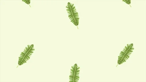 Tropical exotics leafs ecology animation pattern Stock Footage 138978259
