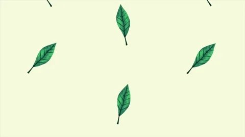 Tropical exotics leafs ecology animation pattern in green background Video stock 138978310