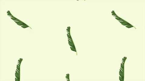 Tropical exotics leafs ecology animation pattern Stock Footage 138978351