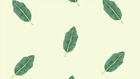 Tropical exotics leafs ecology animation pattern background Video stock 138978406