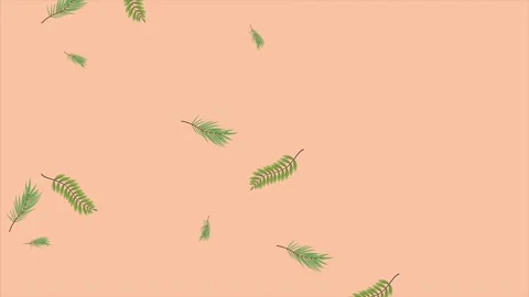 Tropical exotics leafs ecology animation pattern in cream background Video stock 138979376
