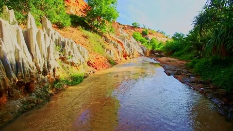 Tropical Fairy Stream Landscape with Sunny and Shady Banks Stock Footage