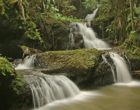 Tropical falls Stock Photos