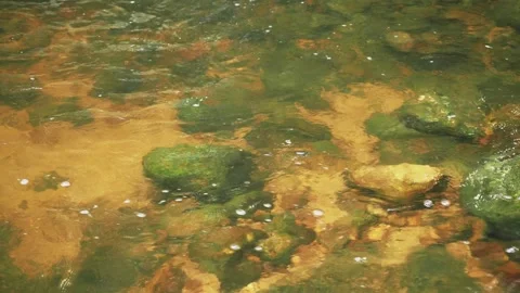 Tropical fast current water stream. Loop. Видео 332964439