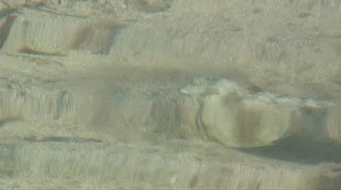 Tropical fish 2 스톡 동영상 7497804