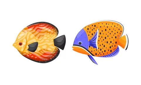 Tropical Fish of Different Shapes and Colors Vector Set Illustrazione stock