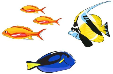 Tropical fish Stock Illustration