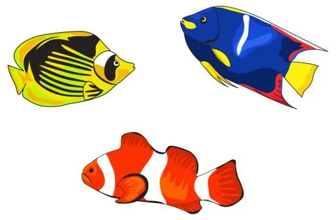 Tropical fish Stock Illustration