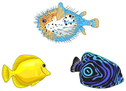 Tropical fish Stock Illustration