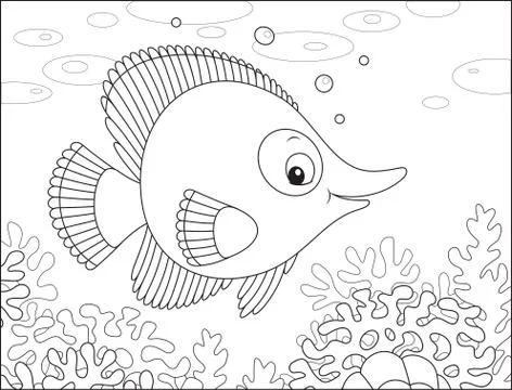 Tropical fish Stock Illustration