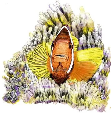 Tropical Fish Stock Illustration