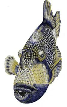 Tropical Fish Stock Illustration