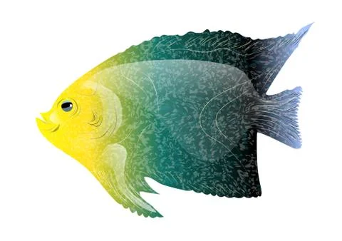 Tropical fish Stock Illustration