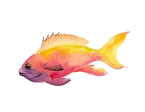 Tropical fish Stock Illustration
