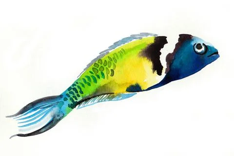 Tropical fish Stock Illustration