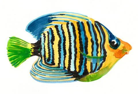 Tropical fish Stock Illustration