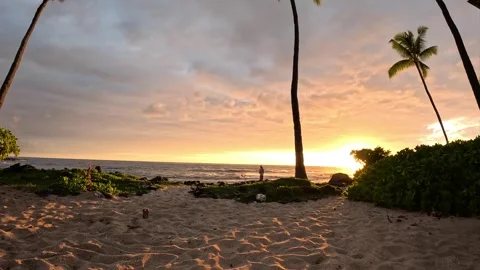 Tropical fisherman Video stock 335961739