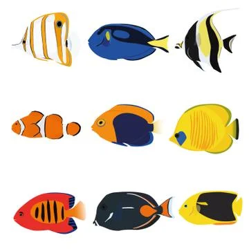 Tropical Fishes Set Stock Illustration