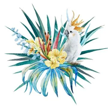 Tropical floral composition Stock Illustration