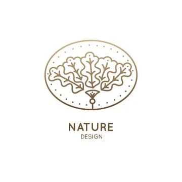 Tropical floral herb Stock Illustration