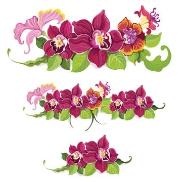 Tropical flower elements pattern 스톡 일러스트