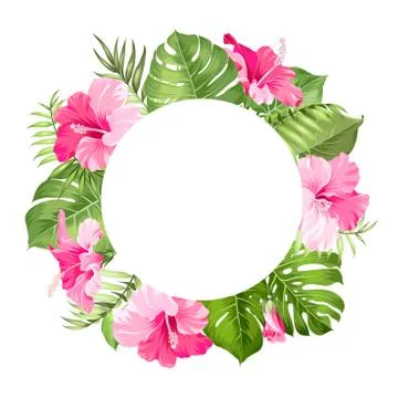 Tropical flower frame Stock Illustration