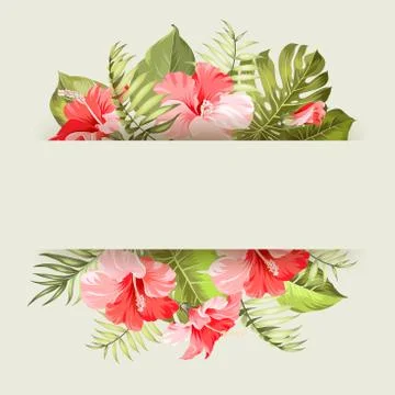 Tropical flower frame Stock Illustration