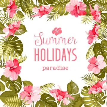 Tropical flower frame Stock Illustration