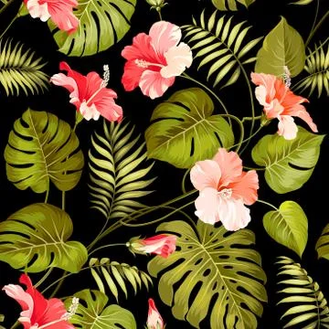 Tropical flower Illustration
