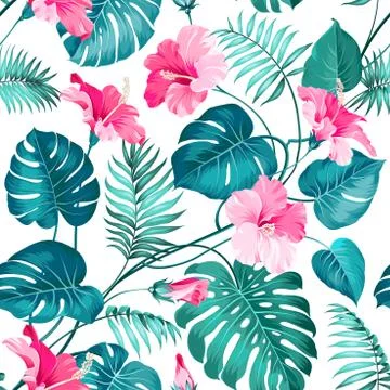 Tropical flower Stock Illustration