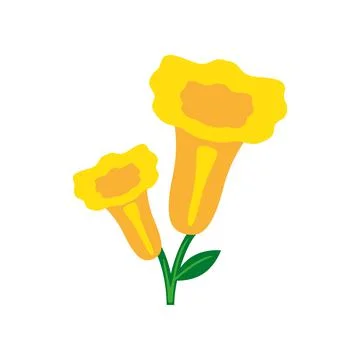 Tropical flower nature Illustration